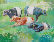 Cattle
                      Paintings by Gwen Sylvester